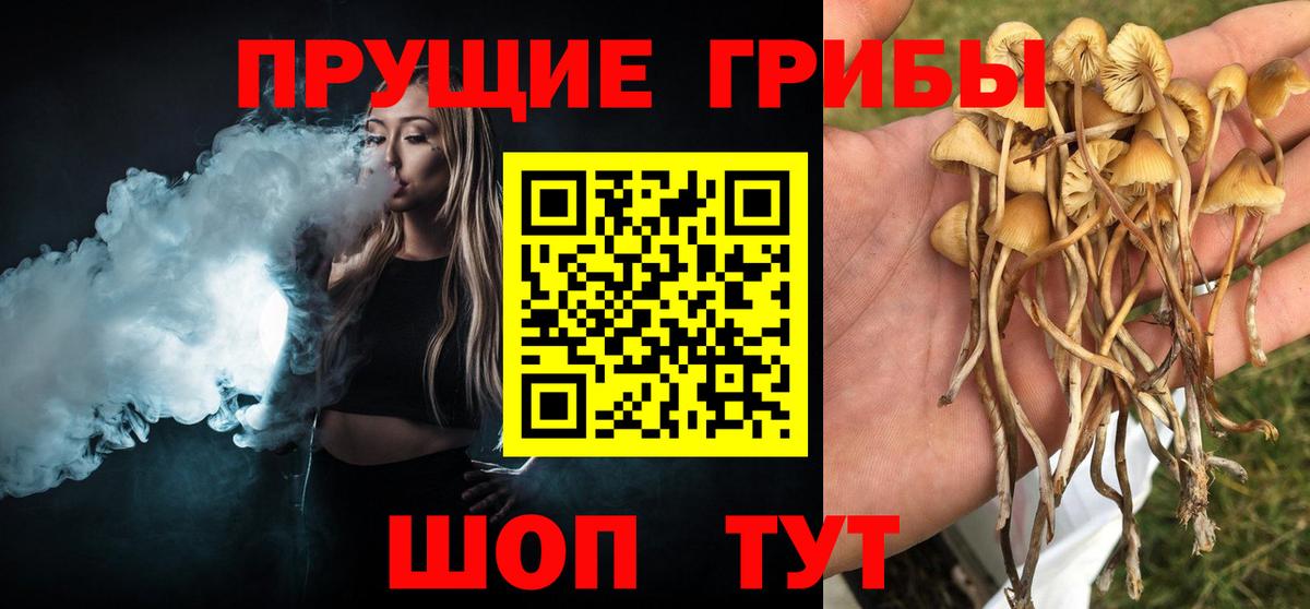Псилоцибиновые грибы мицелий Троицк